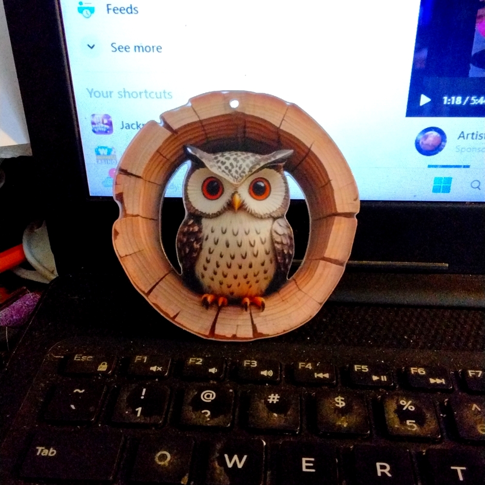 2D Owl  Ornament